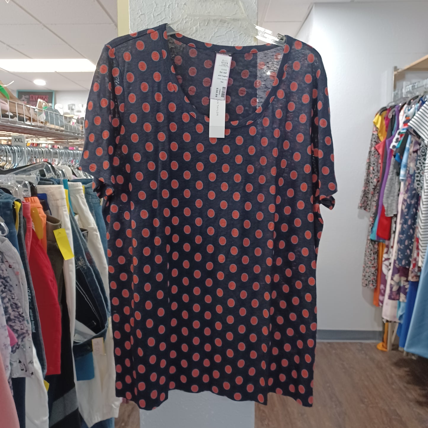 (XXL) Ann Taylor