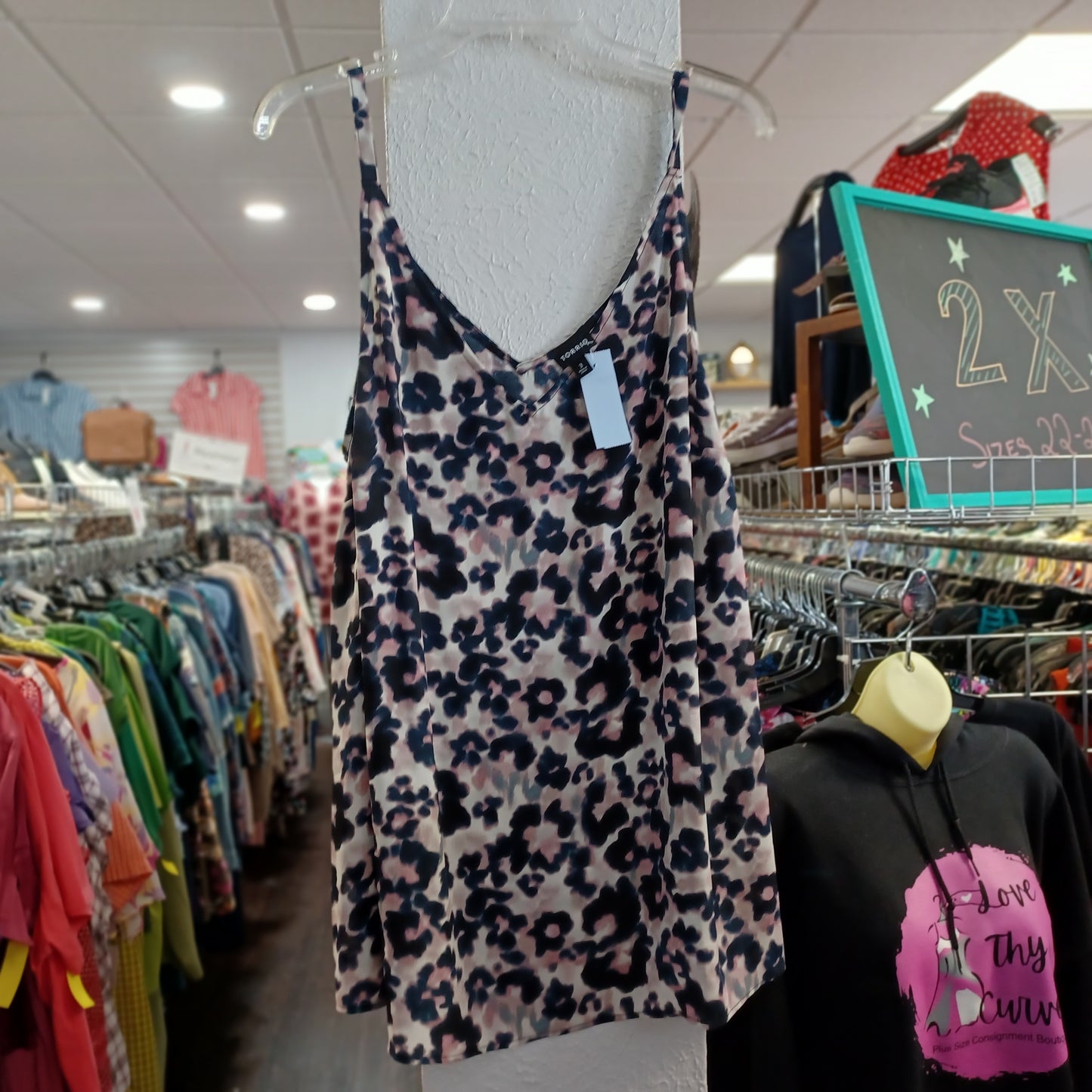 (3) Torrid