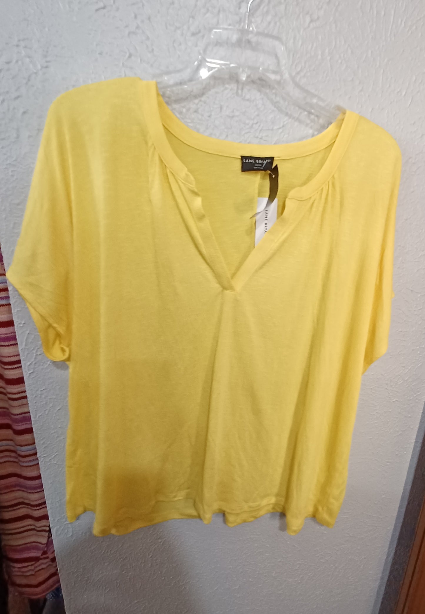 (22/24) Lane Bryant