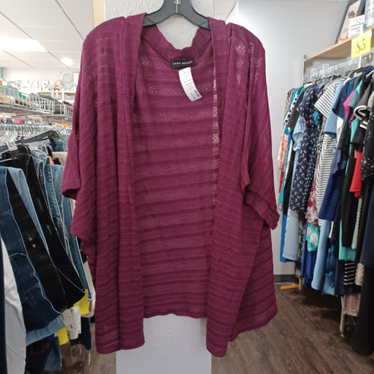 (26/28) Lane Bryant