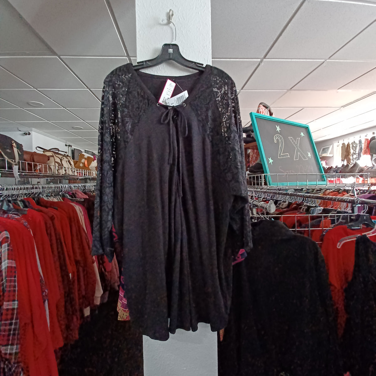 (6) Torrid