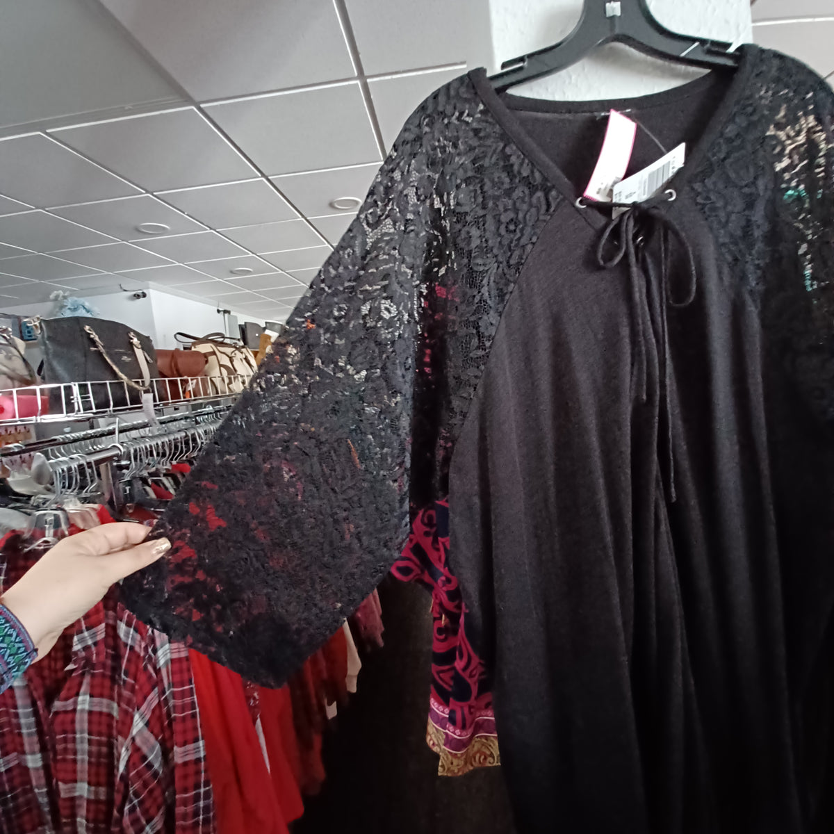 (6) Torrid