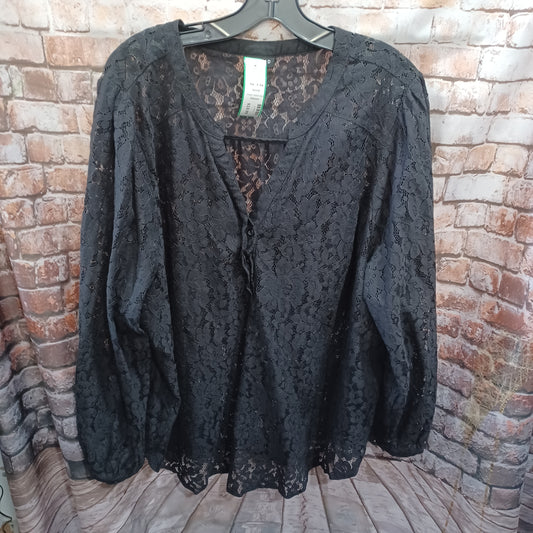 (3) Torrid