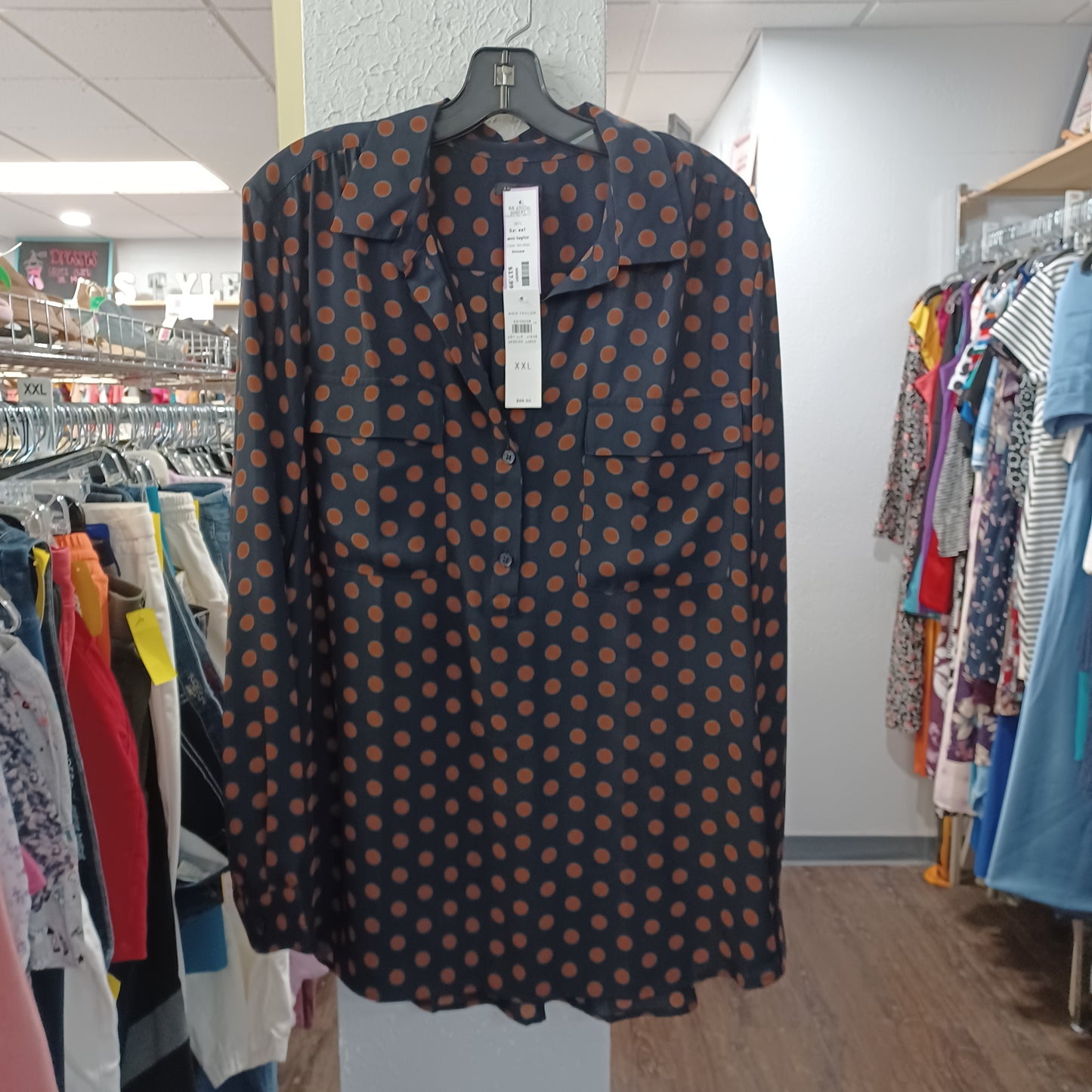 (XXL) Ann Taylor