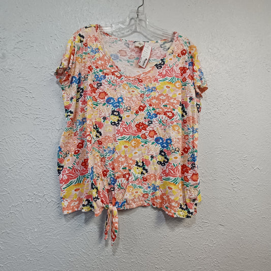 (1x) Style & Co