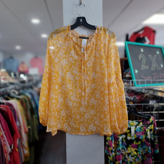 (XL) A Love Story